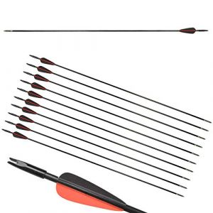 ZSHJG 12pcs Fl&egrave;ches en Fibre de Verre 31 Pouces Fl&egrave;ches d'entra&icirc;nement de Cible Spine 900 Fl&egrave;ches de Chasse avec Fl&egrave;che Carquois pour 35 Lbs Arc Recourb&eacute; Arc Long (Noir + Rouge) (Traveling Shop, neuf)