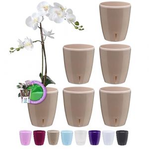 Santino ORCHIDEA Lot de 6 Pots à Orchidée avec Système de Mèche et Indicateur de Niveau d'eau (Diamètre: 15 cm, 2 L, Sable) (Gartenlux, neuf)