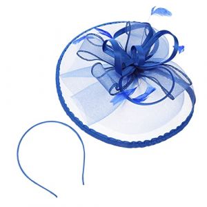 FRCOLOR coiffe en maille robe de mariée hairpin voile de style atterrissage boîte d'ombre robe mariage décoration mariage coiffe de chapeau de plume décor de cheveux de mariage la plume (Laners, neuf)