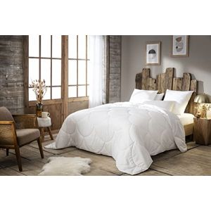 Abeil - Couette Douceur Infinie Chaude - Enveloppe Microfibre Effet Peau de P&ecirc;che - Lavable en Machine - Garnissage 400g/m&sup2; - Certifi&eacute;e Oeko-Tex - 240 x 260 cm (ABEIL, neuf)