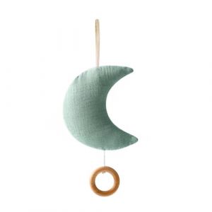 Mobile B&eacute;b&eacute; Bo&icirc;te &agrave; Musique Lune, Cloche de Lit B&eacute;b&eacute; Avec Anneau en Bois, Mobile Musical Lit B&eacute;b&eacute;, Lune en Peluche B&eacute;b&eacute; Carillons Pendentif &agrave; Suspendre, D&eacute;coration de Chambre de B&eacute;b&eacute;, Vert (iShang Direct, neuf)