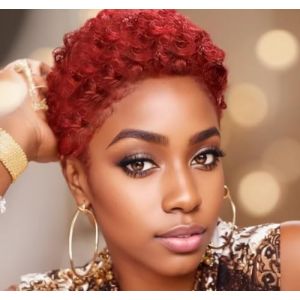 BeiSDWig Perruque afro crépue bouclée synthétique pour femme noire afro-américaine (Beauty.Wig, neuf)