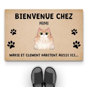 Cadeau Plus Tapis Personnalisé Paillasson - Les Chats vivent Ici Aussi - Tapis personnalisé entrée, Paillasson Entree (1 Chat) (CADEAUPLUS, neuf)