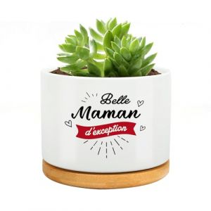 RRIGETEN id&eacute;e Cadeau Belle Mere Pot De Fleur,Cadeau Belle Maman,Cadeau pour Belle Mere,Cadeau Belle Mere Noel,Anniversaire Fete des Meres (Longhani, neuf)