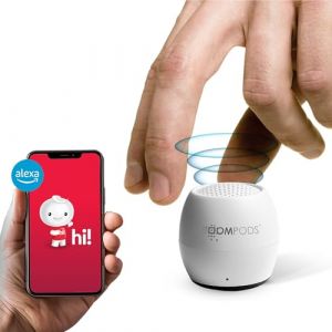 Boompods Zero Talk Mini Haut-Parleur Bluetooth avec Amazon Alexa - Mini Enceinte sans Fil, Étanche IPX6 et 5h d'autonomie, Petit Haut Parleur avec Microphone pour Douche et Voyage, Blanc (Boompods DE, neuf)