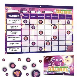 Halibel Tableau de R&eacute;compenses pour Enfants &ndash; Aide l&rsquo;Enfant dans Son comportement et sa Routine &ndash; T&acirc;ches Personnalisable + de 1000 Stickers &ndash; Semainier pour 6 Mois (24 Pages) - Rose (KRAKENAMZ, neuf)