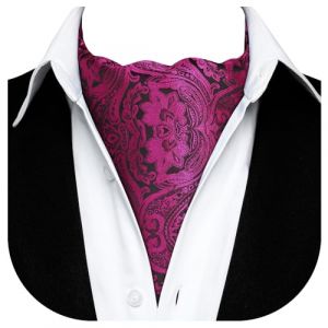 HISDERN Ascot Homme Violet Motif Cachemire Foulard Cravate Mariage Élégant Cravates Foulards (QIWEIEUR, neuf)