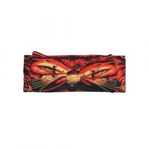 WDXQHY Masque de lion doux pour bébé - Bandeau élastique doux pour la peau - Accessoire pour cheveux de 0 à 6 mois - Parfait pour fête prénatale (麦往商贸, neuf)