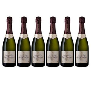 Lot de 6 Bouteilles de Champagne PRESTIGE Demi-Sec - Jo&euml;l CLOSSON&reg; - DIRECT PRODUCTEUR (CHAMPAGNE JOEL CLOSSON&reg;, neuf)