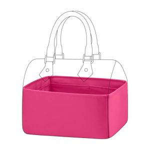 DGAZ Soie Organisateur de sac à main pour LV Speedy, Organisateur de sac à main et de fourre-tout de luxe (SP20, Framboise) (DGAZ fr.Store, neuf)