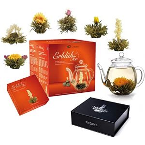 Creano M&eacute;lange de Fleurs de Th&eacute; - Coffret Cadeau "BloomingTea" avec Pot en Verre (500ml) + 6 Fleurs de Th&eacute; en Bo&icirc;te Magn&eacute;tique en 6 Vari&eacute;t&eacute;s | Th&eacute; blanc (Creano, neuf)