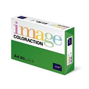IMAGE Antalis ColorAction Ramette 500 feuilles papier couleur pour Imprimante jet d'encre/laser/Copieur 80g A4 Dublin/Vert mousse (versando®, neuf)