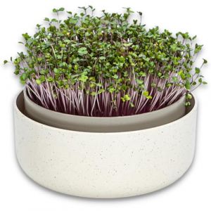 Urbalive Germoir pour Graines &agrave; Germer et Micro-pousses - Microgreens Coupelle de Germination - Design Bac de Germination en Plastique, 16 cm (Globalio, neuf)