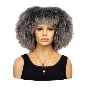 Perruque boucl&eacute;e afro synth&eacute;tique courte perruque compl&egrave;te pour femmes Perruque pour usage quotidien, f&ecirc;te et cosplay (Gris Argent&eacute; Graduel) (LEEMASING Direct, neuf)