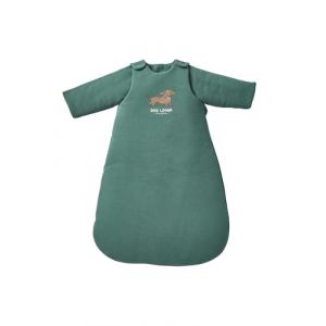 VERTBAUDET Gigoteuse hiver manches longues amovibles ACHILLE vert sapin 6/18M (VERTBAUDET, neuf)