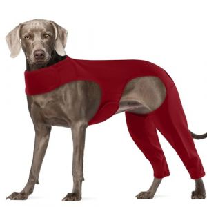 Hjyokuso Combinaison de convalescence pour chiens, protection chirurgicale pour les pattes, manchon anti-l&eacute;chage pour la patte arri&egrave;re, protecteur de coude, emp&ecirc;che le l&eacute;chage et les morsures, &eacute;vite (Hjyokuso, neuf)