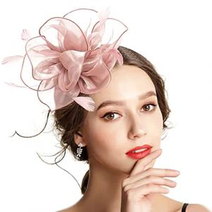 Yjcnelcr Pinces à cheveux Barrettes à cheveux Bandeau pour femme Serre-tête bibi en maille plumes Bandeau Bibi Bandeau Cocktail Accessoires de cheveux pour femmes et filles (GUijsfded, neuf)
