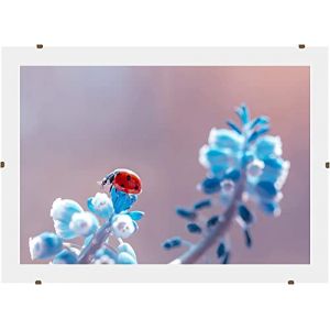 Online-GalleryKing Cadre photo à pinces | Cadre clip photo | Porte-photo | Sans cadre 60x85 cm avec verre acrylique antireflet et paroi arrière | ne reflète (Online-GalleryKing, neuf)
