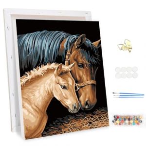 MEIYUDA Peinture par Numero Adulte avec Cadre Chevaux, Animaux DIY Peinture Acrylique pour Adultes Débutants Facile sur Toile Avec Peintures et Pinceaux Decoration Maison Cadeau 30x40cm (JINBEIKANG, neuf)
