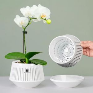 Meshpot Pots d'orchidées de 12 cm avec des Trous pour Le rempotage,Lot de 1, jardinière décorative pour orchidée avec Circulation d'air et Bonne Circulation d'air,Contenant à orchidées en Plastique (meshpot, neuf)
