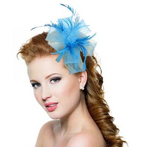 Coiffure/Épingle à Cheveux Voilette Femme Chapeau Bibis Fascinator Bandeau Plume Nuptiale Cheveux Clip Accessoires pour Cérémonie Églises Photographe Fête Soirée Déguisement (IBlueloveruk, neuf)