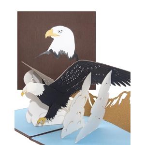 Carte pop-up &laquo; Aigle - Eagle's Wings &raquo; - Carte d'anniversaire 3D et carte d'invitation avec enveloppe - Invitation &agrave; un anniversaire, pour les voyages aux &Eacute;tats-Unis et en Am&eacute;rique (Cologne Cards | Pop-Up Karten, neuf)