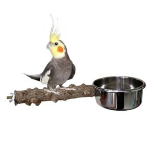 yupeuooe Perchoir à oiseaux avec mangeoire | Perchoir en bois avec bol, design intégré pour calopsittes, perroquets moyens, perruches, perruches (chuifan, neuf)