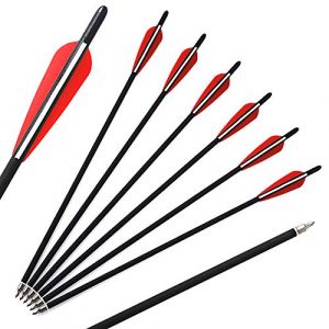 ACCMOS 17" Fl&egrave;ches Arbal&egrave;te Chasse Fl&egrave;che d'arbal&egrave;te Diam&egrave;tre Int&eacute;rieur 7.6mm 17 Pouces Fl&egrave;ches de Carbone avec Pointe en Acier Amovible Tir &agrave; l'arc Chasse Tir Cible d'entrainement (ACCMOS Fl&egrave;ches, neuf)