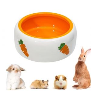 bangminda Bol en Céramique pour Lapin Carotte Mangeoire pour Rongeur Gamelle Céramique de Lapin Chinchilla Cochon d'Inde Hamster Petits Animaux (Bol Rond) (STARPIA, neuf)