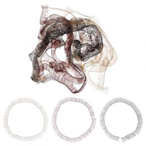 minkissy 15 pi&egrave;ces Lot de Faux Cils D&eacute;coratifs pour Poup&eacute;es Bandes de Cils DIY Multicolores Noir Marron Accessoires pour Maquillage et Cr&eacute;ation de Poup&eacute;es (Master Self, neuf)