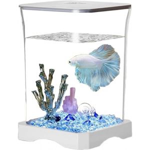 Petit kit de d&eacute;marrage pour Poissons Betta avec Lampe LED rectangulaire pour d&eacute;coration de Table,Betta Fish Tank &ndash; Table d'aquarium | Nano r&eacute;servoir de Combattant, Blanc, avec Filtre int&eacute;gr&eacute; (hefeisulianbaihuodian, neuf)