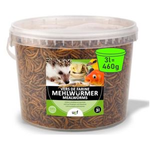 UGF – Les vers de Farine Premium, Seau de 3 litres - 460g, Collation d’Insectes pour Oiseaux Sauvages, Hamsters, Hérissons, Rats, Lézards, Tortues – sans Conservateurs et Colorants Artificiels (Underground Food, neuf)
