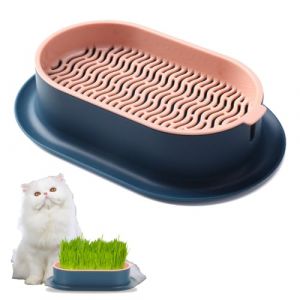 Bukezudang Croissance pour Herbe &agrave; Chat, Planteur d'Pour Chats d'Int&eacute;rieur, Pot De Germination Hydroponique, Plateau &agrave; Graines, Bac &agrave; Plantes Hydroponique pour Chiens De Chat Et Animaux (Heartpop, neuf)
