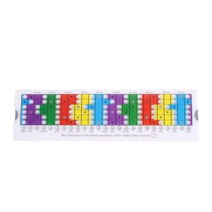 pintoc Règle Coulissante de Guitare pour la Pratique des Gammes Pentatoniques, Diatoniques et de Mode/Règle Coulissante Pentatonique Installation Facile Facile à Utiliser (Liangrui91, neuf)