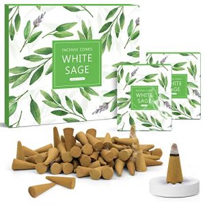 SCENTORINI C&ocirc;nes d'Encens, Assortiment Encens Cone 120pcs, Sauge Blanche Parfum Cones, avec Support de B&acirc;tons d'Encens (SCENTORINI, neuf)