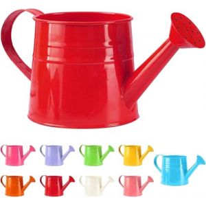 Petite arrosoir pour plantes d'int&eacute;rieur 1L - Petite arrosoir en m&eacute;tal - Pot &agrave; fleurs - Arrosoir de jardin - Arrosoir vintage - Arrosoir pour plantes - Outil de jardin (1 pi&egrave;ce/Rouge) (ZDD123, neuf)
