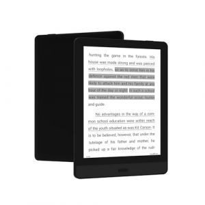 Bigme Liseuse électronique, écran E-Ink de 15,24 cm, 10 outils de lecture, Quad-Core 1,8 GHz, Wi-Fi, Bluetooth, extension de mémoire de 1 To, noir (Bigme-fr, neuf)