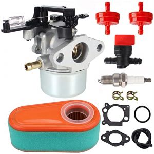 Ewillownm Compatible avec le carburateur 591137 pour Briggs Stratton 591597 216852 590780 593380 591137 110P02 110P05 8.75 série 875 (MunQ, neuf)