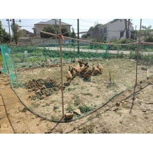 LINSOCLE Filet Poulailler - Filet de Voli&egrave;re Cl&ocirc;ture Jardin R&eacute;sistant, Maille de 5 cm - Cl&ocirc;ture Mobile Protection pour Poules Chat Volaille et Potager (1.5m x 25m, Vert) (Xinkongsky, neuf)