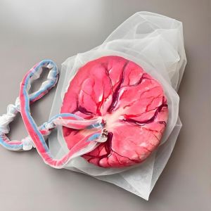 Mod&egrave;le d'accouchement du bassin f&eacute;minin, mod&egrave;le pelvien de d&eacute;monstration d'accouchement, simulateur d'accouchement du cordon ombilical/placenta pour &eacute;tude, affichage, enseignement m&eacute;dical(A) (HCYHSJXHL, neuf)