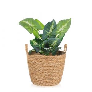 Tagtight Panier &agrave; plantes en jonc de mer, pot de fleurs boh&egrave;me, pot de fleurs tiss&eacute;, vase rond, d&eacute;coration de jardin, panier d&eacute;coratif en osier, panier tress&eacute;, d&eacute;chets, 25 x 25 x 20 cm (Gudingdang, neuf)