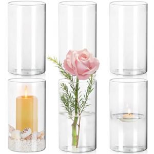 KOIUEYW Lot de 6 Vases Cylindriques en Verre Transparent 15cm pour Fleurs Flottantes, Bougies, Galets - Décoration de Table, Chambre, Bureau, Maison, Salon (GZFhome, neuf)