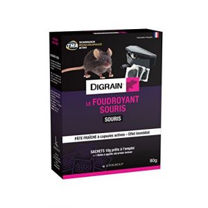 DIGRAIN Le Foudroyant Souris - R7039 (AC 2000, neuf)