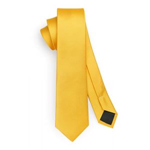 HISDERN Hommes Cravates Jaune Solide Couleur Slim Cravates pour Hommes Cravate De Mariage Classique Formelle D'affaires Cravate pour Hommes 6cm (hisdern, neuf)
