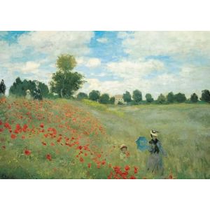 1000 Pieces Puzzles pour Adultes Coquelicots &Agrave; Argenteuil De Claude Monet Puzzles pour Adultes Jeu &Eacute;ducatif Puzzles pour Adultes (PEKNUX, neuf)