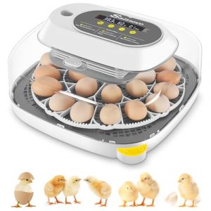 Sailnovo Couveuse Oeuf Automatique 24 Oeufs, Couveuses Oeuf Pour ufs de Volailles avec 4 Modes vue à 360°, Incubateur Oeuf Retournement Automatique des Oeufs et Contrôle de la Température (Gris) (Sailnovo EU, neuf)