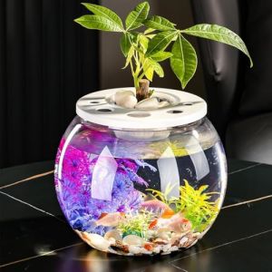 Bocal à Poissons, Ronde Aquariophilie Plastique,Aquarium Rond Transparent Décor,Aquarium en Bocal À Poissons Décoratif,Tank Aquarium,18CM (wshun, neuf)