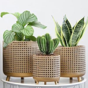 JHY DESIGN Lot de 3 Grands Pots de Fleurs décoratifs en métal avec Design Creux pour intérieur et extérieur, Jardin, Maison, Balcon, Balustrade, clôture (doré) (JHY DESIGN, neuf)