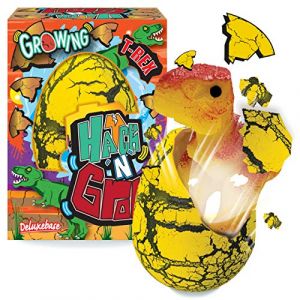 Hatch 'N' Grow - T-Rex de Deluxebase. Oeuf 11 cm &agrave; Faire &eacute;clore & Grandir avec Jouet Dinosaure. Magique, placez ce Jouet dans l'eau pour Le Voir se tranformer, id&eacute;al pour Les Filles et Les gar&ccedil;ons (DELUXEBASE, neuf)