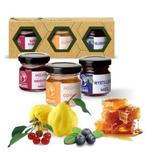 Coffret Dégustation 3 × 40 g – Miel Bio Tartinable aux Myrtilles, Coings Bereczki et Griottes – Sans Sucre Ajouté – Tartinables Naturels pour Petit-Déjeuner, Snacks et Cadeau Gourmet – Melinis (Atelierele Melinis SRL, neuf)